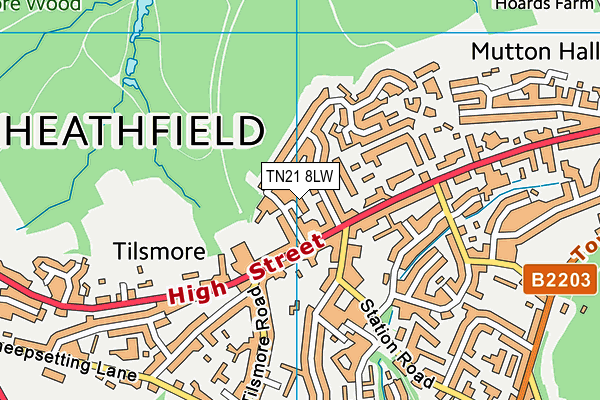 TN21 8LW map - OS VectorMap District (Ordnance Survey)