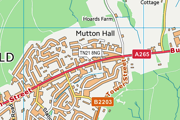 TN21 8NG map - OS VectorMap District (Ordnance Survey)