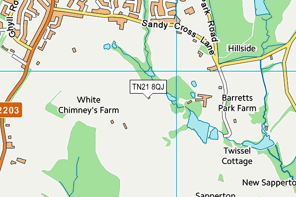 TN21 8QJ map - OS VectorMap District (Ordnance Survey)