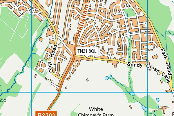 TN21 8QL map - OS VectorMap District (Ordnance Survey)