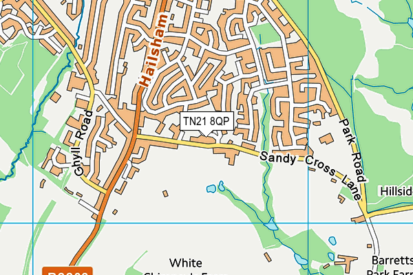 TN21 8QP map - OS VectorMap District (Ordnance Survey)