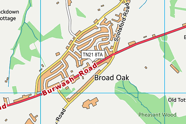 TN21 8TA map - OS VectorMap District (Ordnance Survey)