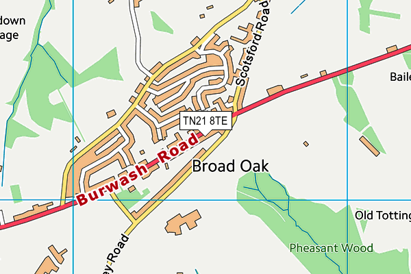 TN21 8TE map - OS VectorMap District (Ordnance Survey)