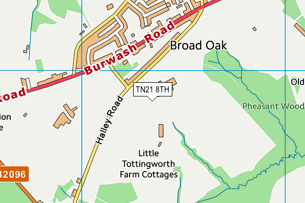 TN21 8TH map - OS VectorMap District (Ordnance Survey)