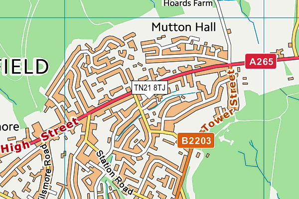 TN21 8TJ map - OS VectorMap District (Ordnance Survey)