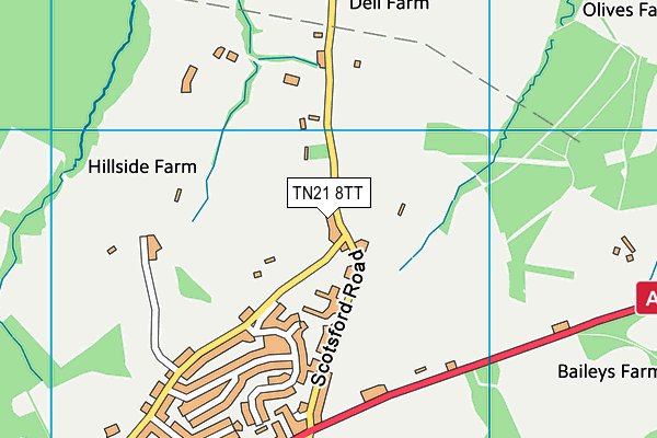 TN21 8TT map - OS VectorMap District (Ordnance Survey)