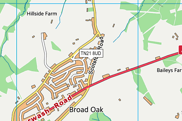 TN21 8UD map - OS VectorMap District (Ordnance Survey)