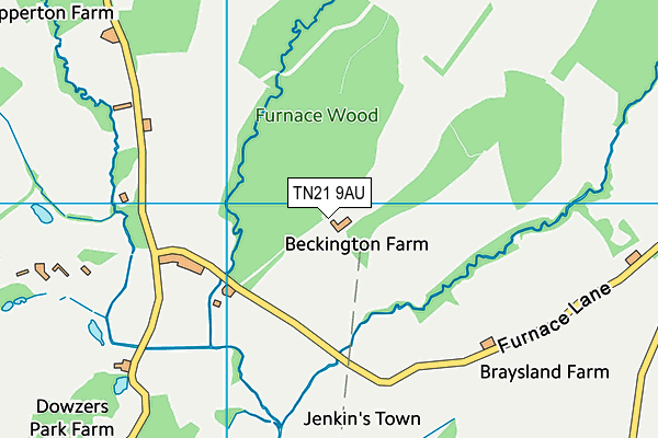 TN21 9AU map - OS VectorMap District (Ordnance Survey)