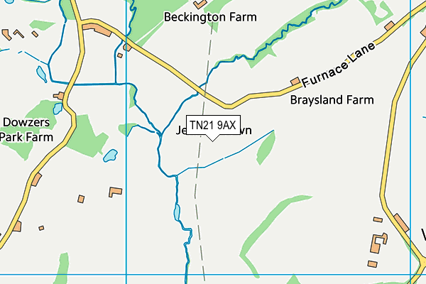TN21 9AX map - OS VectorMap District (Ordnance Survey)