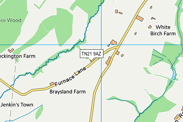 TN21 9AZ map - OS VectorMap District (Ordnance Survey)