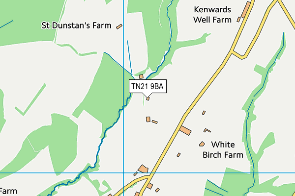 TN21 9BA map - OS VectorMap District (Ordnance Survey)