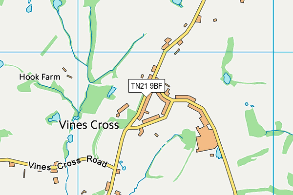 TN21 9BF map - OS VectorMap District (Ordnance Survey)
