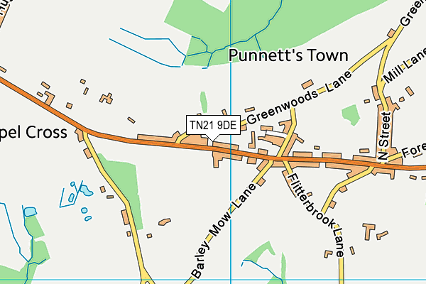 Punnetts Town Community Primary and Nursery School map (TN21 9DE) - OS VectorMap District (Ordnance Survey)