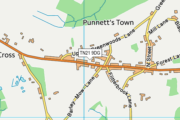 TN21 9DG map - OS VectorMap District (Ordnance Survey)