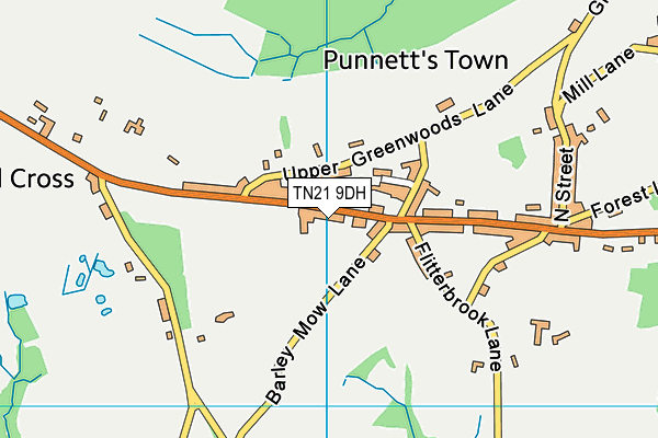 TN21 9DH map - OS VectorMap District (Ordnance Survey)