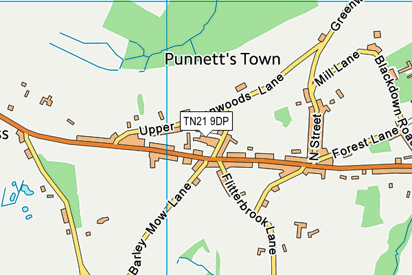 TN21 9DP map - OS VectorMap District (Ordnance Survey)