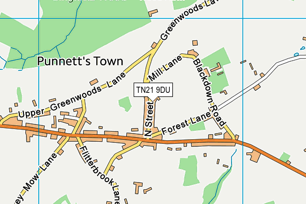 TN21 9DU map - OS VectorMap District (Ordnance Survey)
