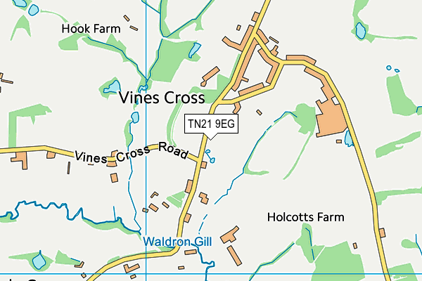 TN21 9EG map - OS VectorMap District (Ordnance Survey)