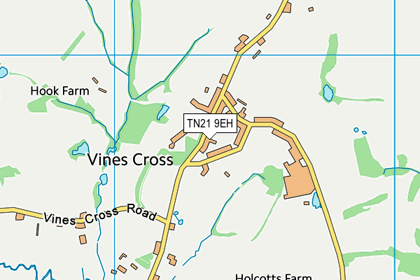 TN21 9EH map - OS VectorMap District (Ordnance Survey)