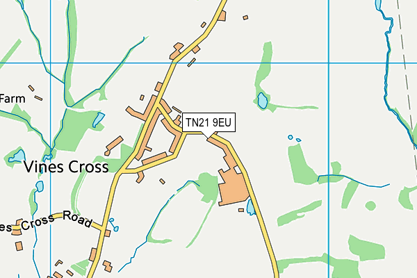 TN21 9EU map - OS VectorMap District (Ordnance Survey)