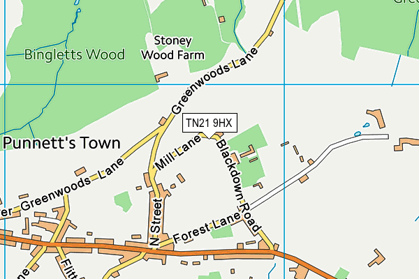 TN21 9HX map - OS VectorMap District (Ordnance Survey)