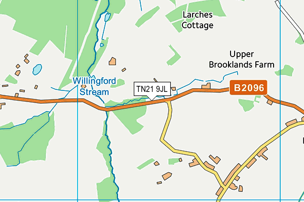 TN21 9JL map - OS VectorMap District (Ordnance Survey)