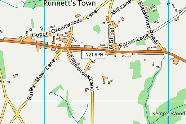 TN21 9PH map - OS VectorMap District (Ordnance Survey)