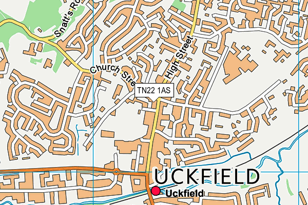 TN22 1AS map - OS VectorMap District (Ordnance Survey)