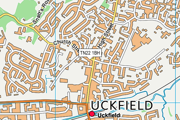 TN22 1BH map - OS VectorMap District (Ordnance Survey)