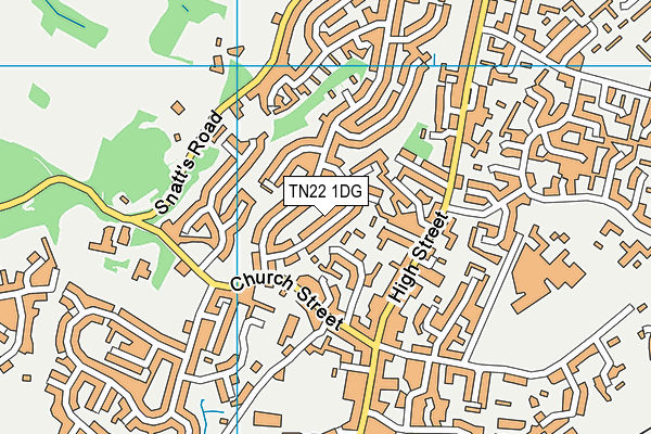 TN22 1DG map - OS VectorMap District (Ordnance Survey)