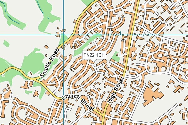 TN22 1DH map - OS VectorMap District (Ordnance Survey)