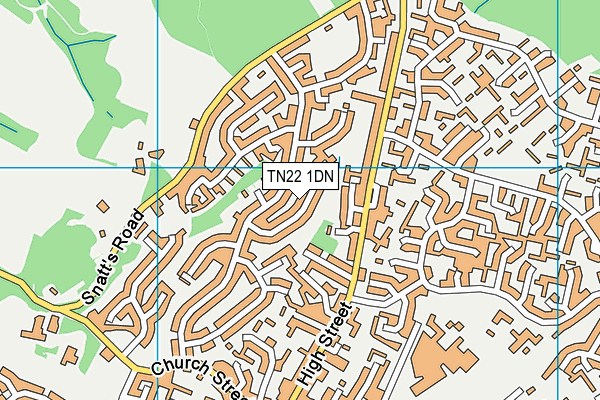 TN22 1DN map - OS VectorMap District (Ordnance Survey)