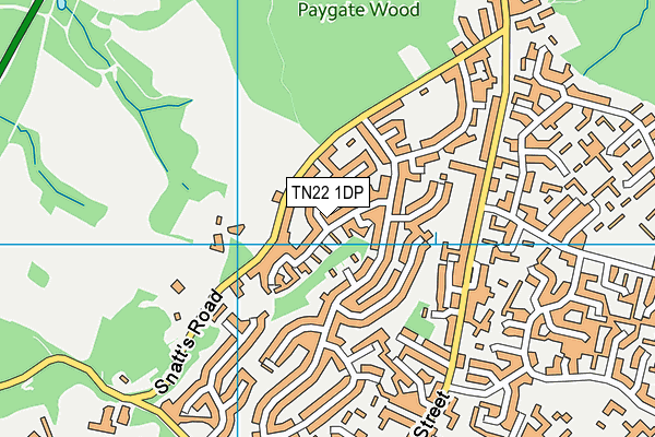 TN22 1DP map - OS VectorMap District (Ordnance Survey)