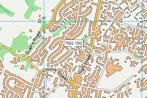 TN22 1DQ map - OS VectorMap District (Ordnance Survey)