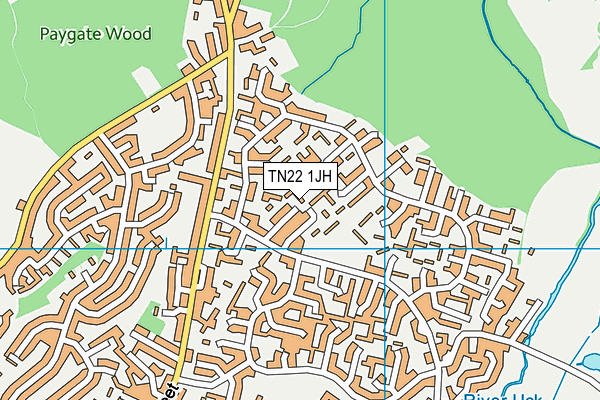 TN22 1JH map - OS VectorMap District (Ordnance Survey)