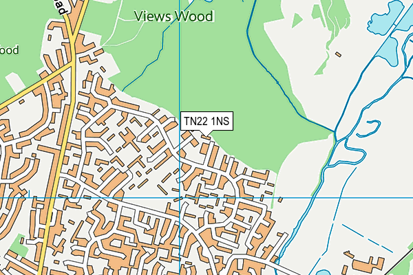 TN22 1NS map - OS VectorMap District (Ordnance Survey)
