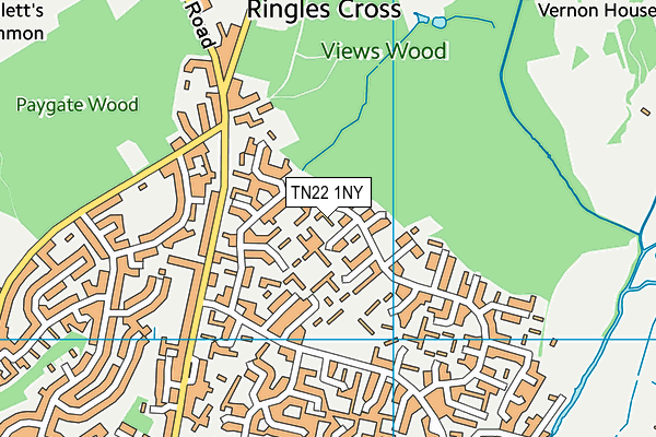 TN22 1NY map - OS VectorMap District (Ordnance Survey)