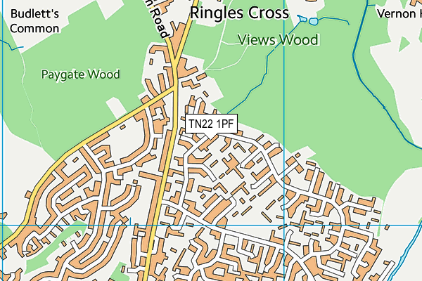 TN22 1PF map - OS VectorMap District (Ordnance Survey)