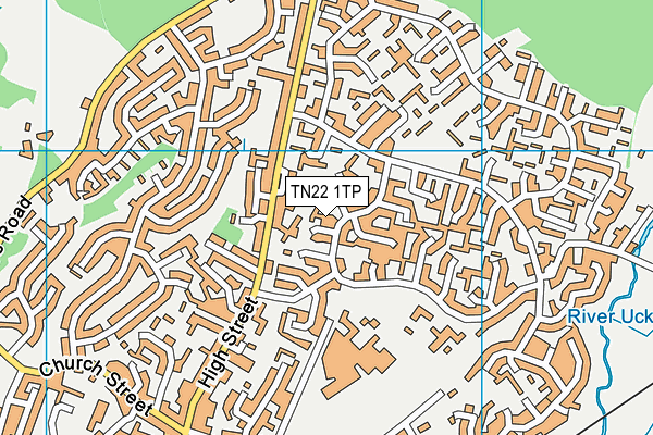 TN22 1TP map - OS VectorMap District (Ordnance Survey)