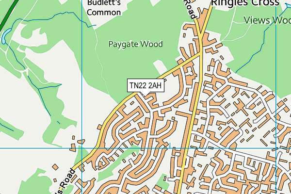 TN22 2AH map - OS VectorMap District (Ordnance Survey)