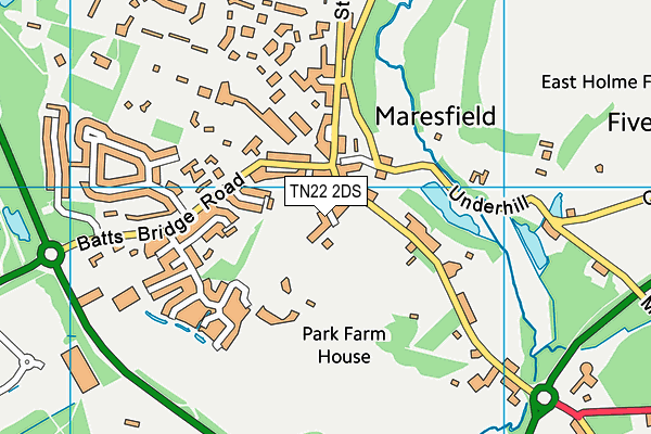 TN22 2DS map - OS VectorMap District (Ordnance Survey)