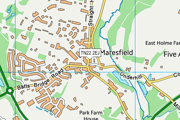 TN22 2EJ map - OS VectorMap District (Ordnance Survey)