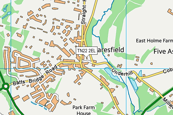 TN22 2EL map - OS VectorMap District (Ordnance Survey)