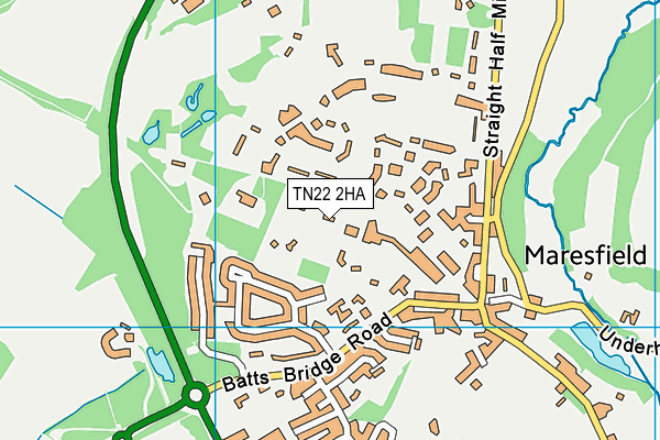 TN22 2HA map - OS VectorMap District (Ordnance Survey)