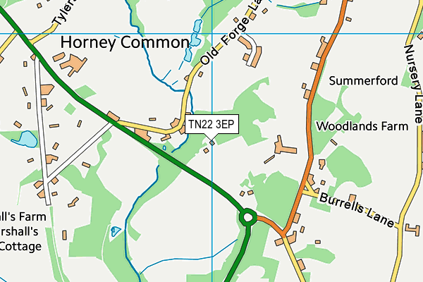 TN22 3EP map - OS VectorMap District (Ordnance Survey)