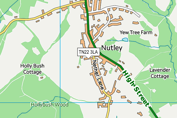 TN22 3LA map - OS VectorMap District (Ordnance Survey)