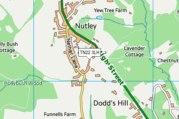 TN22 3LH map - OS VectorMap District (Ordnance Survey)