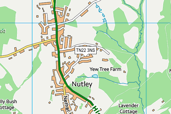 TN22 3NS map - OS VectorMap District (Ordnance Survey)