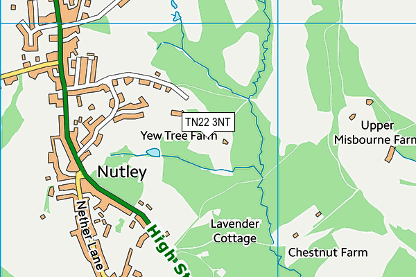 TN22 3NT map - OS VectorMap District (Ordnance Survey)