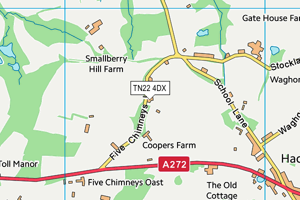 TN22 4DX map - OS VectorMap District (Ordnance Survey)
